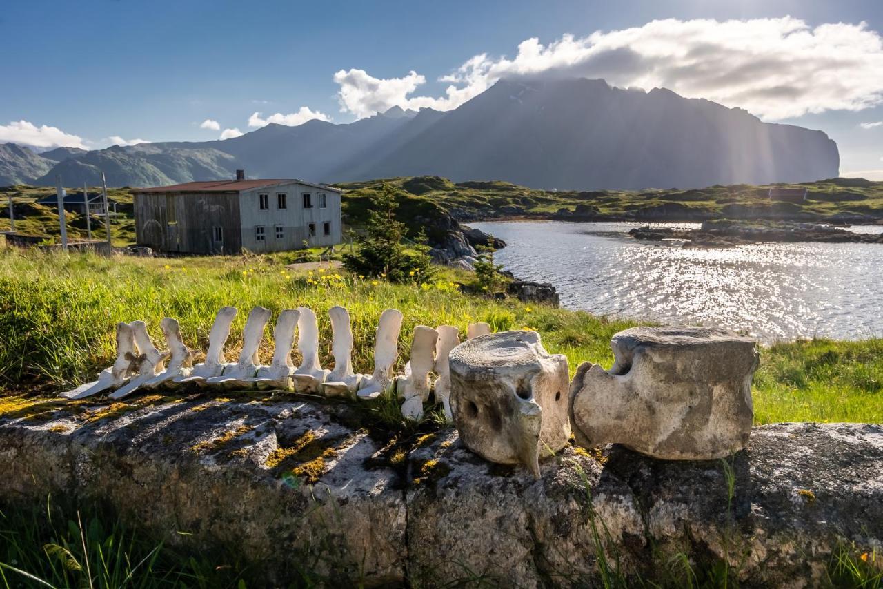 Villa Borgvag - A Unique Seafront Villa In The Heart Of Lofoten Bostad Zewnętrze zdjęcie