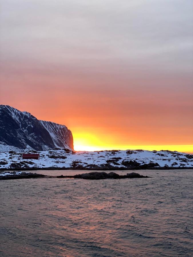Villa Borgvag - A Unique Seafront Villa In The Heart Of Lofoten Bostad Zewnętrze zdjęcie