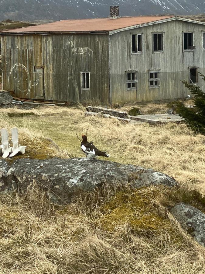 Villa Borgvag - A Unique Seafront Villa In The Heart Of Lofoten Bostad Zewnętrze zdjęcie